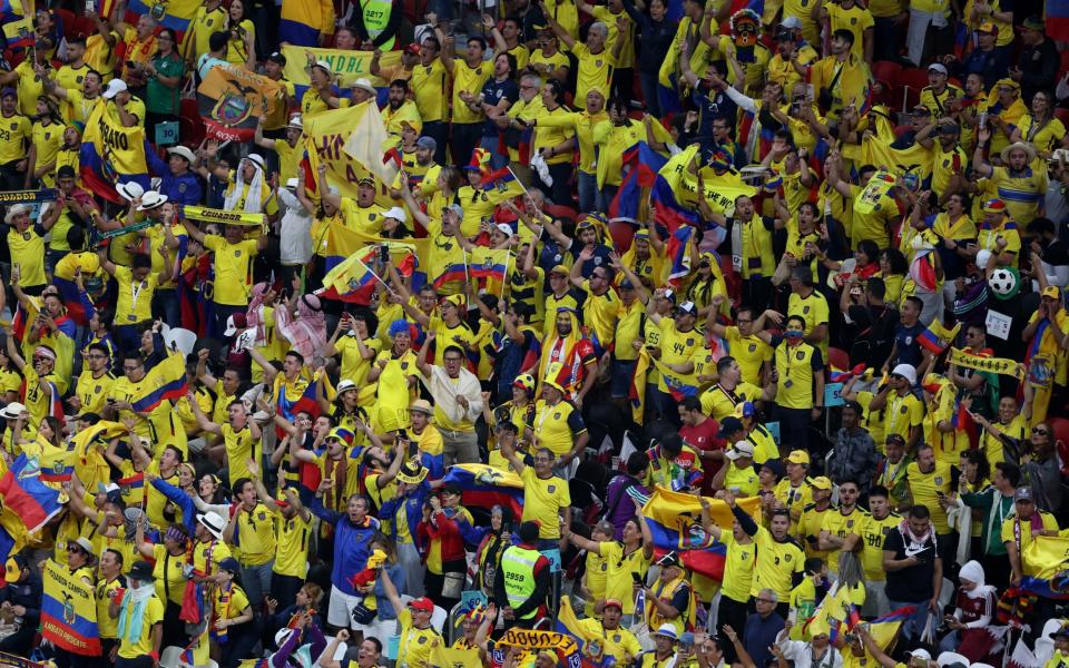 Ecuador fans inside the stadium before the match - Reuters/Molly Darlington