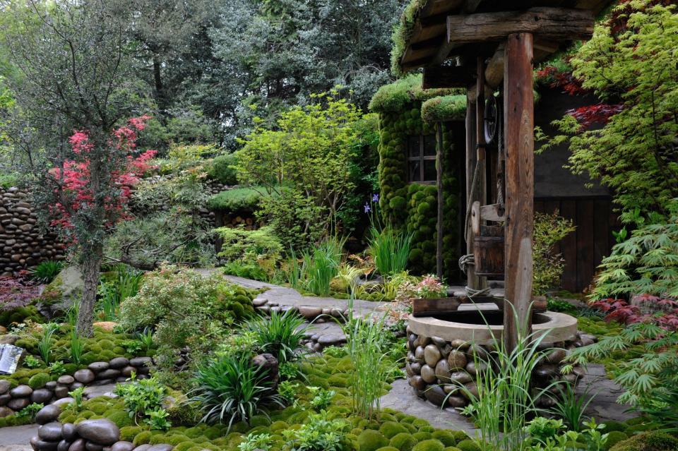 Green invader: moss covering stones at the Japanese Garden pond in Portland, US - Alamy