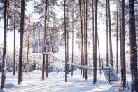 <p>At the Treehotel in Harads, Sweden, you can choose from six different contemporary tree rooms located right in the middle of nature. The Mirrorcube includes its own rooftop terrace.</p><p><a class="link " href="https://go.redirectingat.com?id=74968X1596630&url=https%3A%2F%2Fwww.tripadvisor.com%2FHotel_Review-g6200614-d1872348-Reviews-Treehotel-Harads_Norrbotten_County.html&sref=https%3A%2F%2Fwww.housebeautiful.com%2Fdesign-inspiration%2Fhouse-tours%2Fg3301%2Famazing-tree-house-homes%2F" rel="nofollow noopener" target="_blank" data-ylk="slk:BOOK NOW;elm:context_link;itc:0;sec:content-canvas">BOOK NOW</a> <strong><em>The Mirrorcube</em></strong></p>