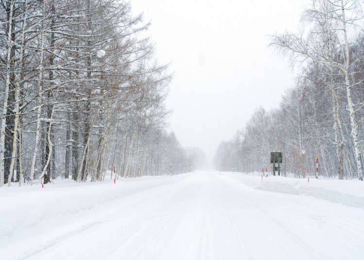 冬天玩北海道要注意！雪地上的行車安全、易封閉路段＆電車、巴士搭乘注意事項