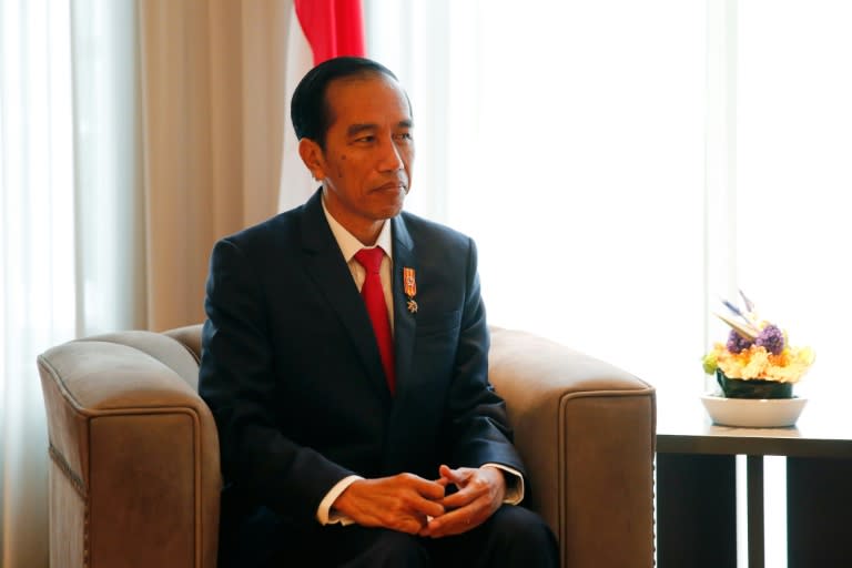 Indonesian President Joko Widodo signed a decree introducing the death penalty and chemical castration for child sex offenders