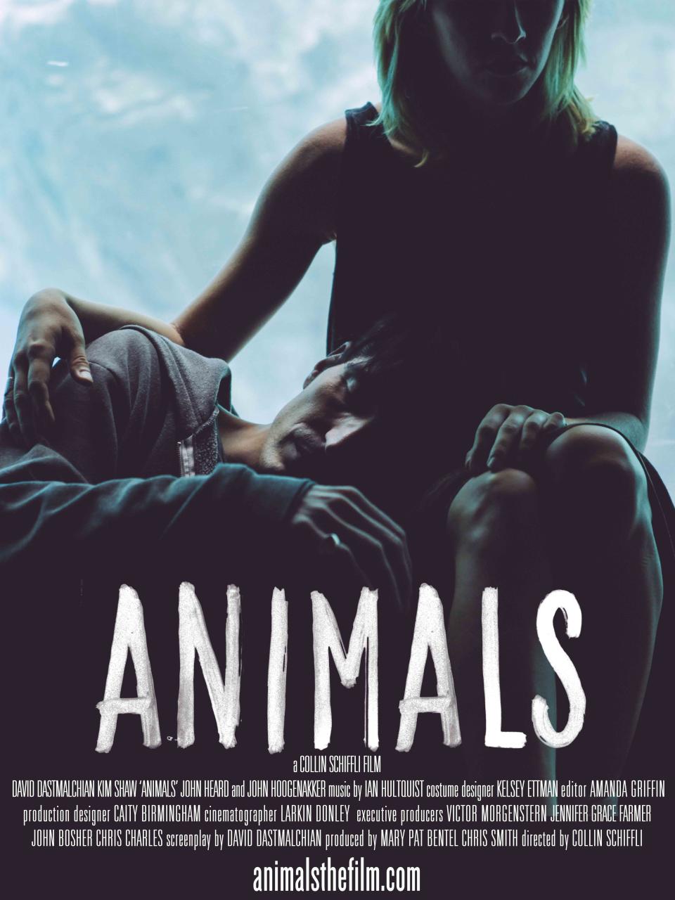 Animals poster