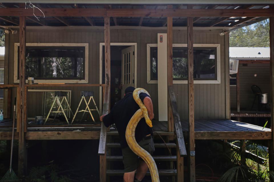 John McHugh bringing his snake back inside after bringing it out for a few photos on Wednesday, November 2, 2022.