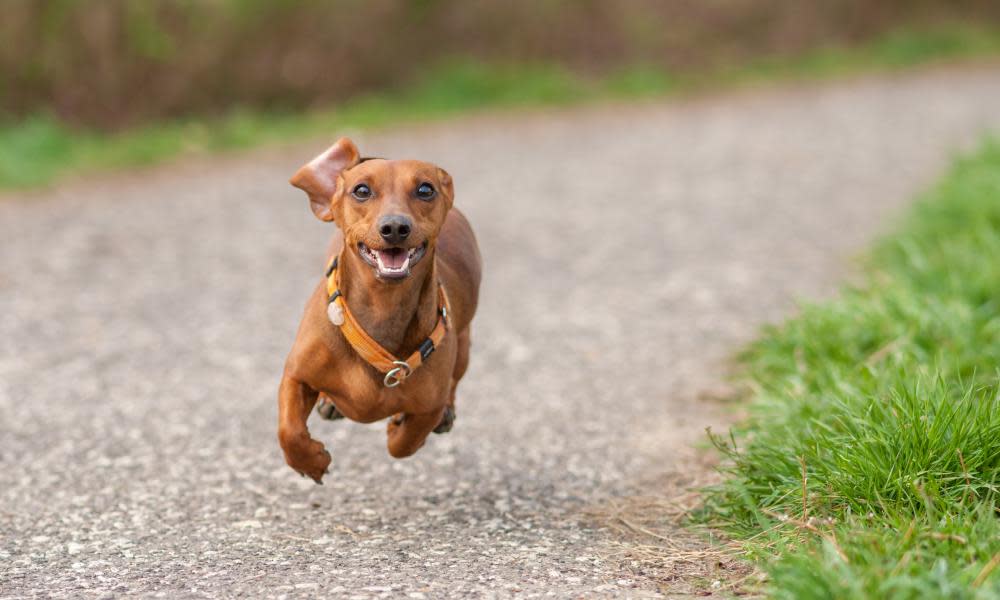 <span>Photograph: Getty Images</span>