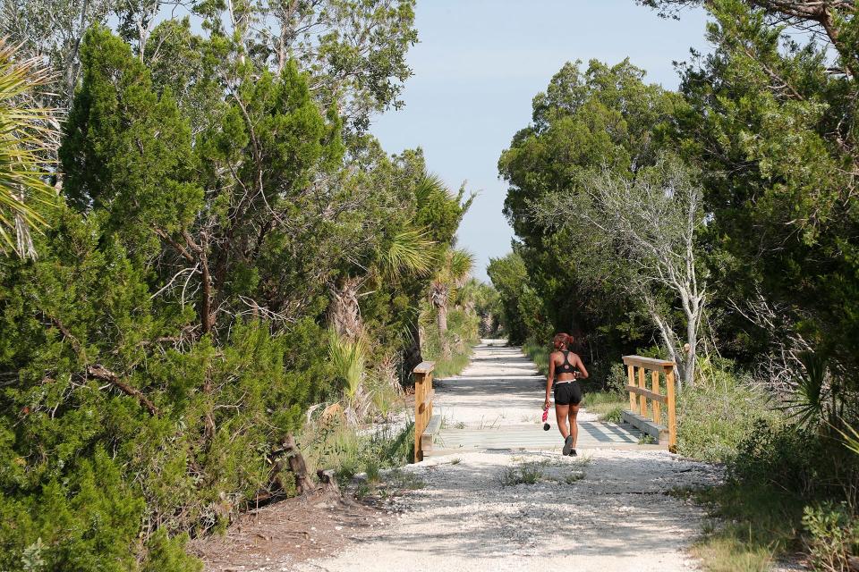 A walker enjoys a stroll on the McQueen's Island Trail.