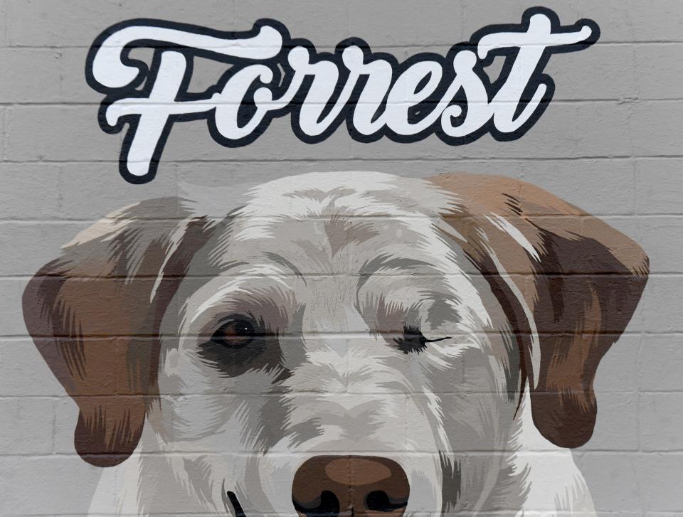 Artist and owner of Untitled Painting Co. Josh Humm creates a mural of TJ Sliman’s dogs on the side of his family business, Meyers Lake Beverage and Drive Thru in Canton.