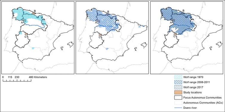 A map comparing degrees of wolf presence in different regions of Spain.