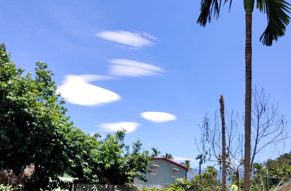 全台晴朗炎熱，台東南橫山區天空出現許多朵飛碟雲，台東氣象站解釋，民眾看到的是高積雲，會呈現各種形狀。（讀者提供） 