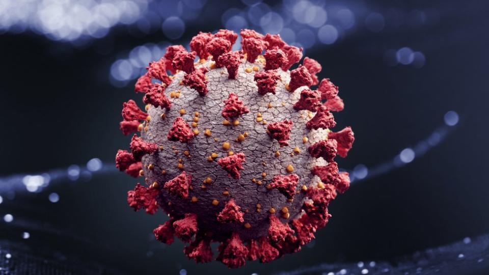 Coronavirus