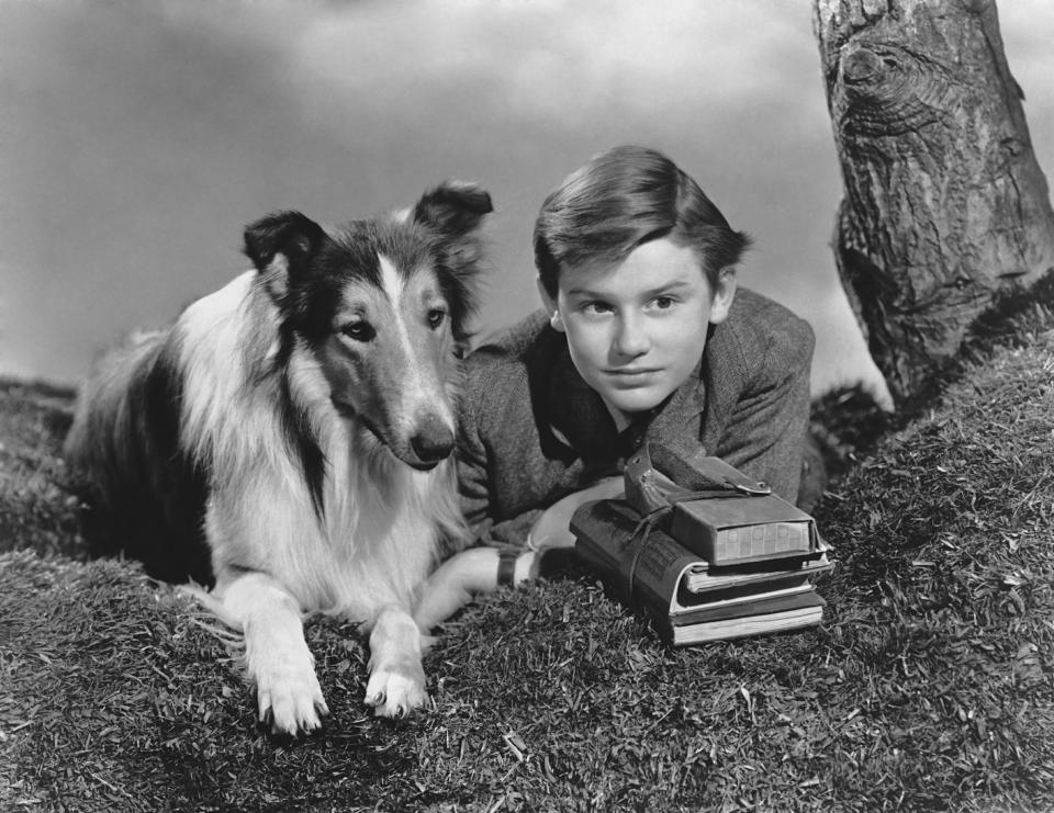 Lassie and Roddy McDowall