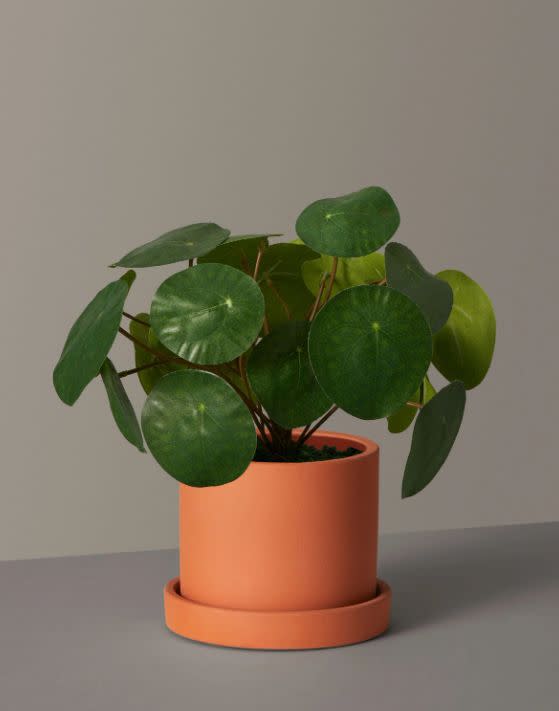Normally $82, <a href="https://yhoo.it/2Bw3OFX" target="_blank" rel="noopener noreferrer">on sale for $74</a> in two planter colors. Use code <strong>HUFFPOST10</strong> for an extra 10% off. 