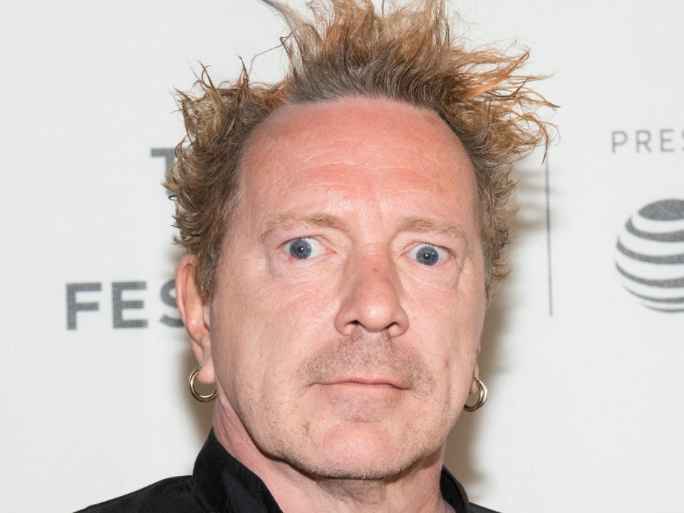 Lydon photographed in 2017 (Getty)