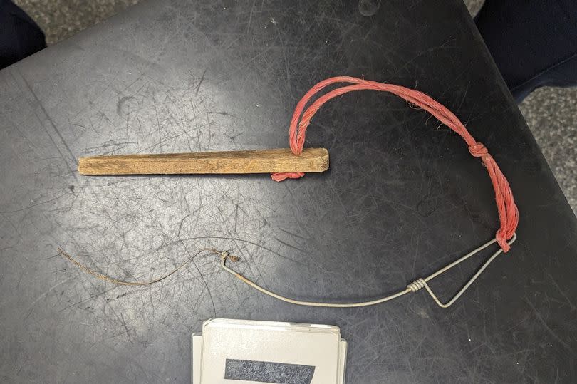 The snare which killed a cat in Saltash -Credit:RSPCA