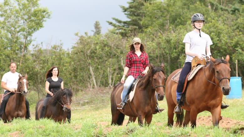 The ancient art of horse archery finds a home on a Nova Scotia farm