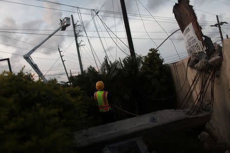 Workers of Puerto Rico's Electric Power Authority (PREPA) repair part of the electrical grid after Hurricane Maria hit the area in September, in Manati, Puerto Rico October 30, 2017. REUTERS/Alvin Baez