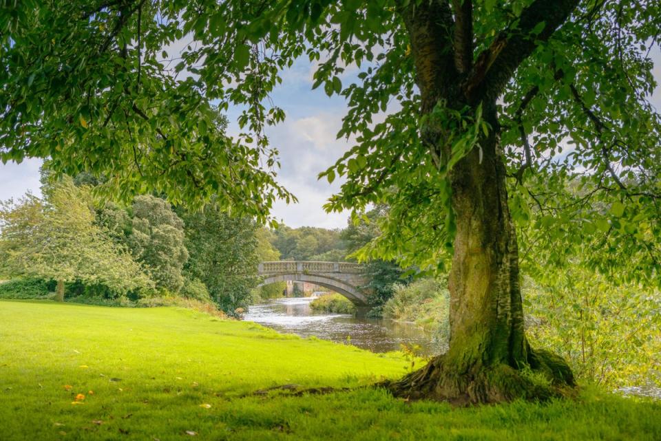 Pollok country park on Glasgow’s Southside (Glasgow Life)