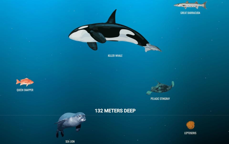 A still from the interactive site The Deep Sea. (Photo: The Deep Sea   )