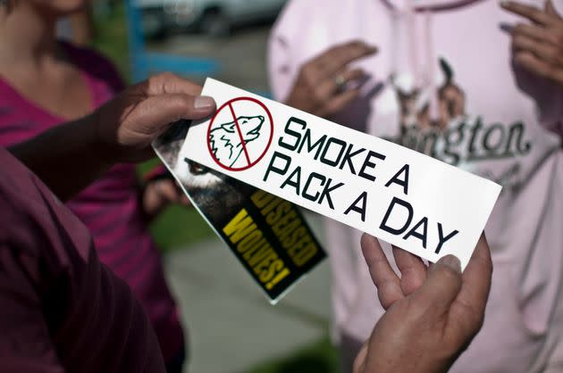 Bumper stickers are distributed at an anti-wolf protest at Bogert Park in Bozeman, Montana.  (Photo: William Campbell/Corbis via Getty Images)