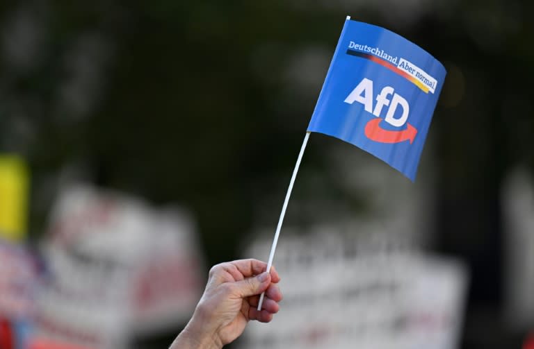 The far-right AfD is already embroiled in a series of scandals (Christof STACHE)