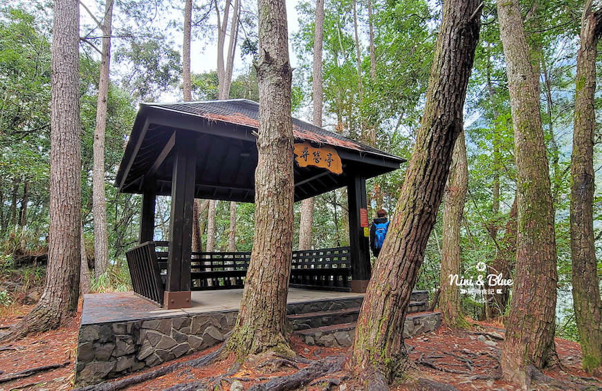 台中｜八仙山國家森林遊樂區