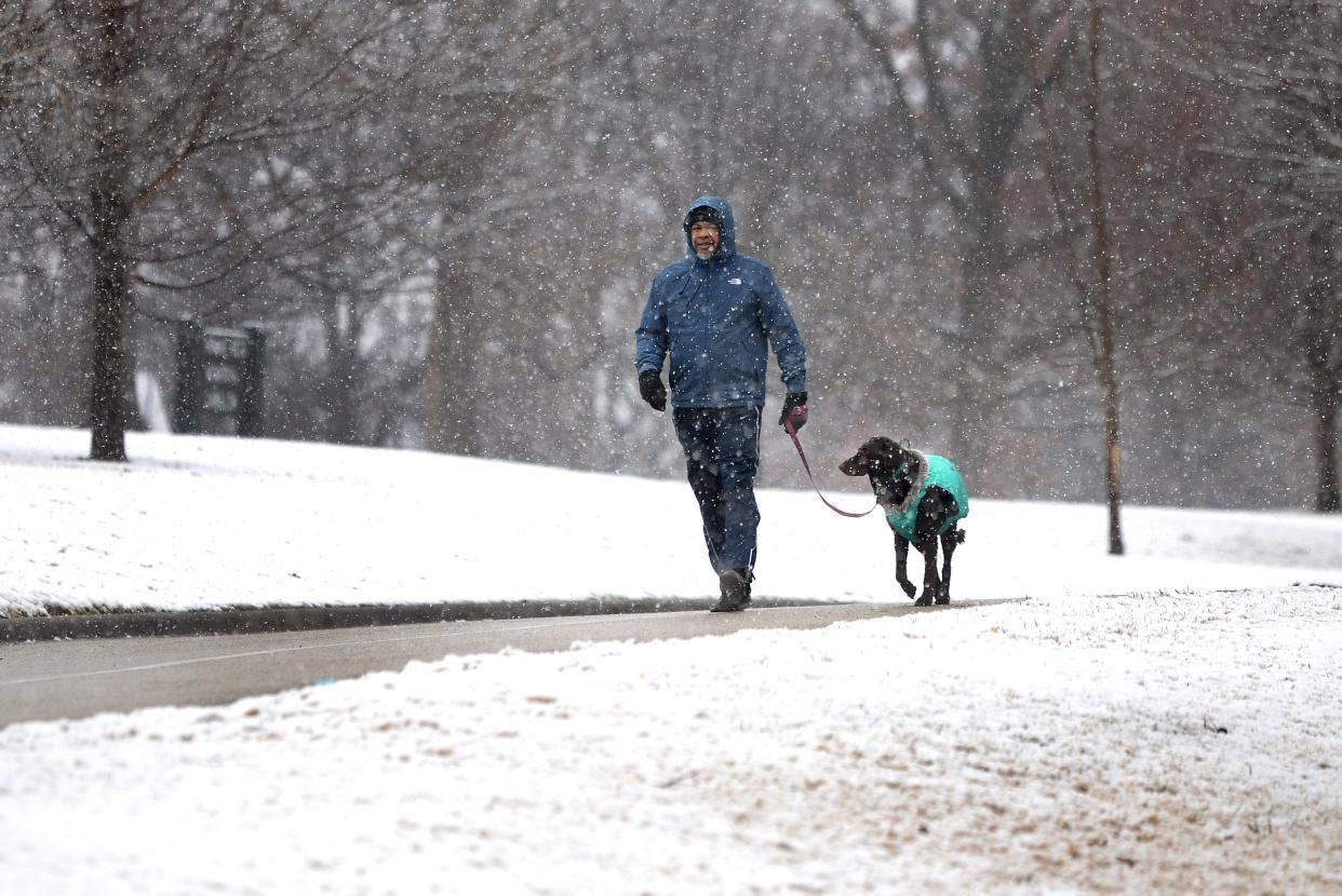 Thomas Dorsey of Springfield and his three year-old curly-coated retriever Ke-Koa walk in a snowy Washington Park Wednesday.