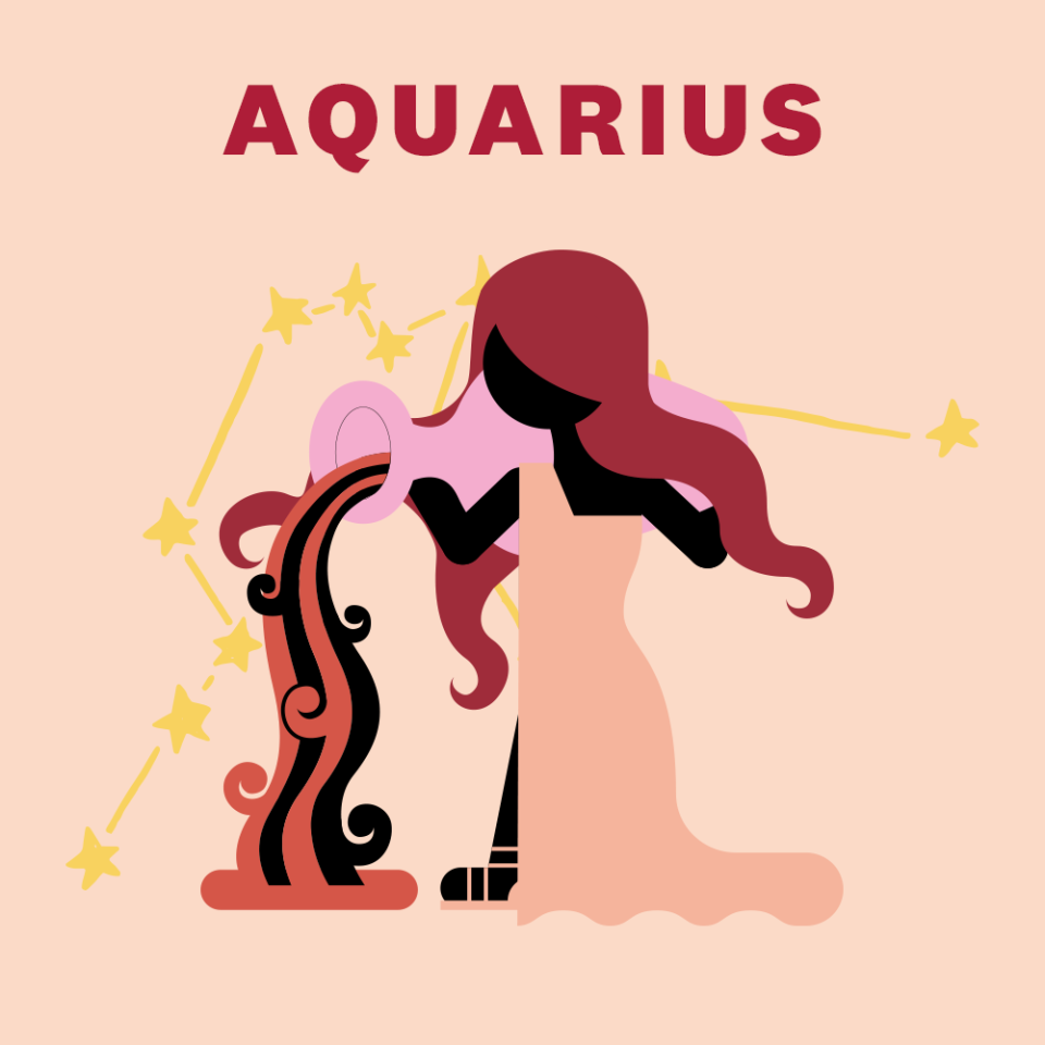 11) AQUARIUS (JANUARY 20–FEBRUARY 18)