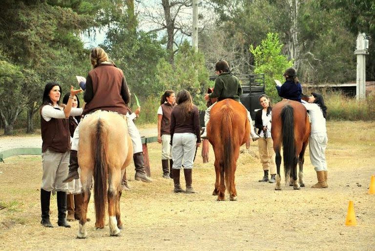 Andar a caballo estimula de formas diversas la musculatura y también produce estímulos neurológicos