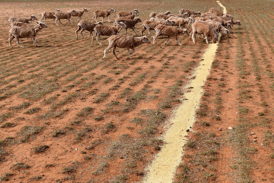 The winner said he had planned to donate to the drought appeal already and now would be able to give more. Photo: AAP