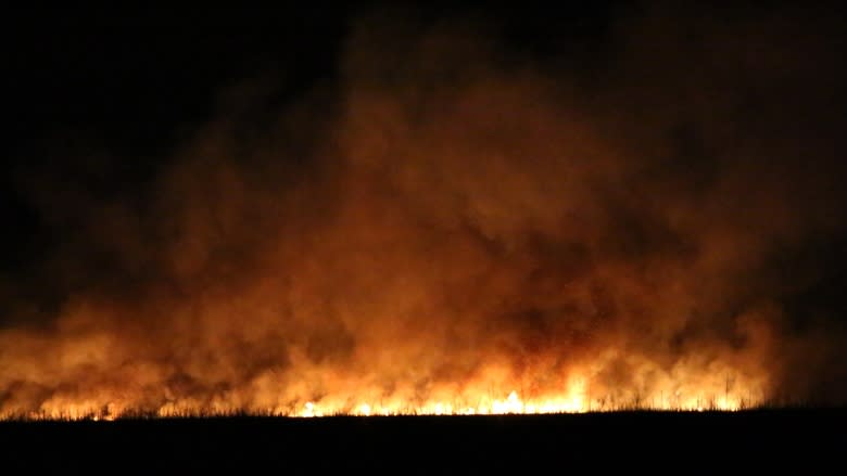 Parks Canada may never know cause of Point Pelee fire