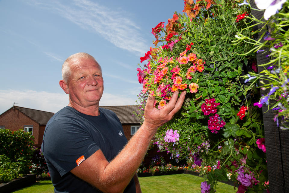 Meet the amateur gardener who fills more than 100 hanging baskets and pots in his small suburban garden with nearly 1,000 stunning plants every year. Shaun Schroeder, 57, spends up to three hours a day planting, tending, dead-heading and watering his stunning collection of petunias and other assorted flowers. He spends four months growing almost all of his 900 plants from seed, before potting them out in May, during a mammoth week-long planting session. They sprawl across 120 hanging baskets and tubs that cover every inch of his modest 4m wide garden at the back of his semi detached home in Whitchurch, on the outskirts of Bristol.