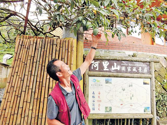 在住宿的門外，農場主人鄧雅元指着一個「瓜」說，它就是愛玉子。（周翠玲攝）
