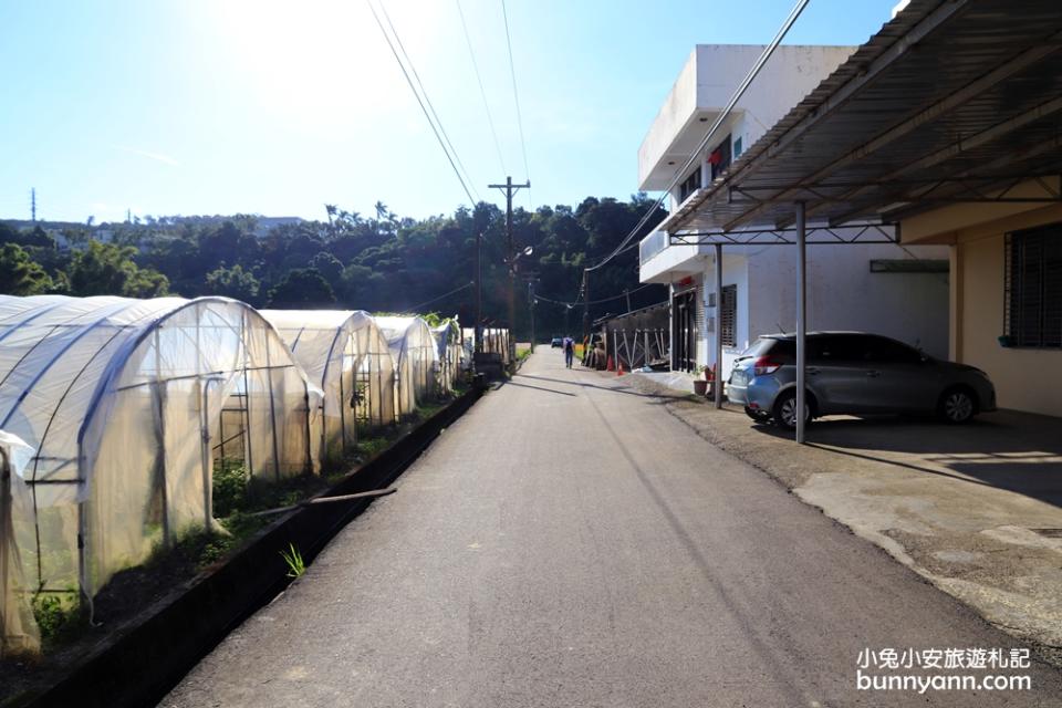 2019桃園花彩節大溪展區，夢幻花海迷宮、彩虹花田浪漫登場