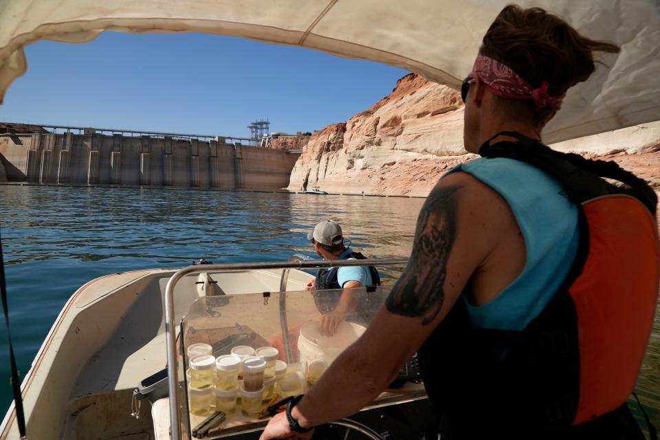 Utah State University master's student Barrett Friesen steers a boat near Glen Canyon Dam on Lake Powell on June 7, 2022. The dam's completion in 1963 was a primary reason the humpback chub nearly died out in the Colorado River they had inhabited for millions of years.