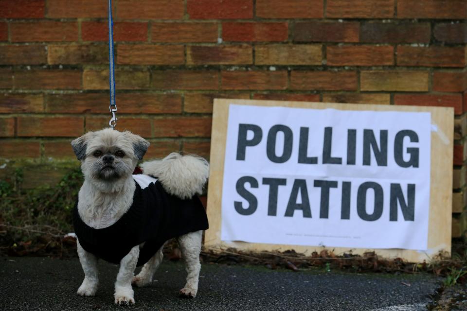 A dog waits outside a polling station in Hull as Britain goes to the polls.