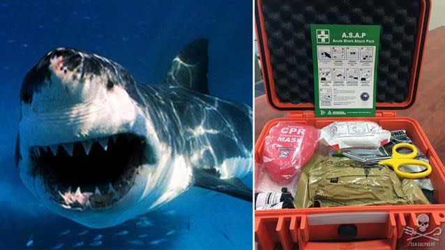 A great white shark attack might lead to the use of the Acute Shark Attack Pack (ASAP) at Wategos Beach. Source: Sea Shepherd