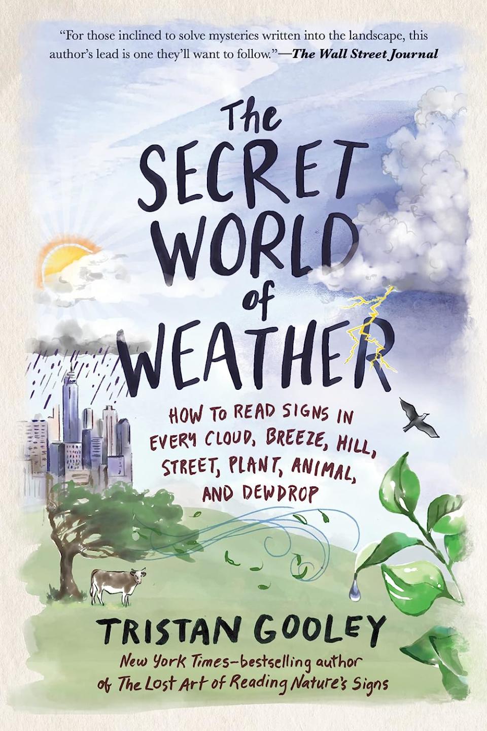 "The Secret World of Weather: How to Read Signs in Every Cloud, Breeze, Hill, Street, Plant, Animal, and Dewdrop," by Tristan Gooley