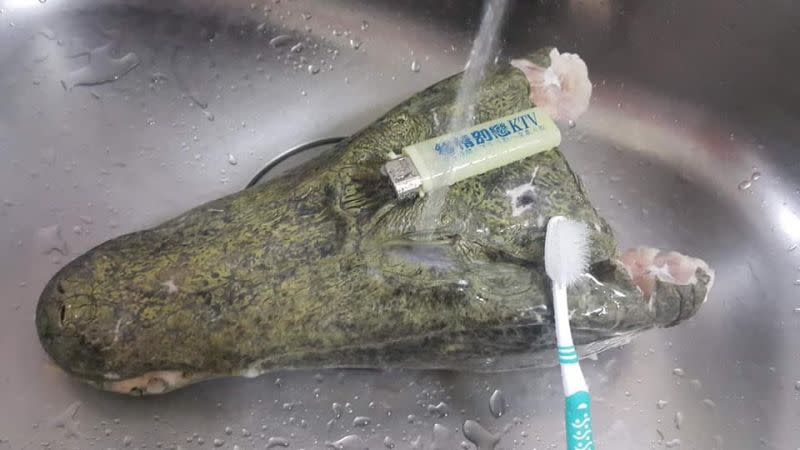 The crocodile head also needs to have its teeth brushed before boiling. (Photo courtesy of 全聯消費經驗老實說/Facebook Group)