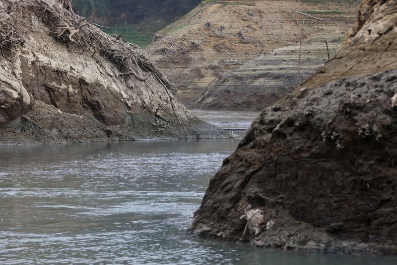 Tree roots are seen on soil that was previously submerged underwater amid low water levels at the Baoshan second reservoir during an island-wide drought, in Hsinchu, Taiwan