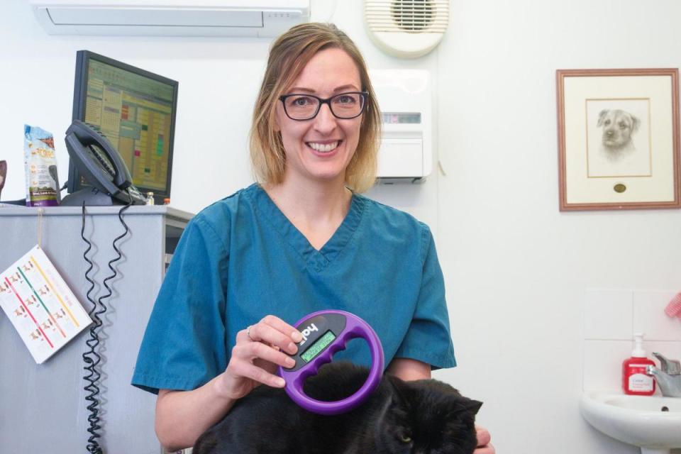 Leanne Duckworth, Stanley House Vets clinical director, scanning a cat’s microchip. <i>(Image: Stanley House Vets)</i>