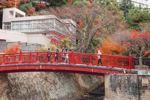 紅葉前線公開 今年絕不再錯過 18神戶pro級賞楓景點攻略