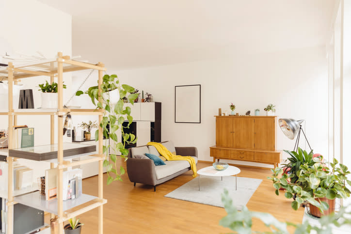 Agregar algunas plantas puede dar nueva vida a tu hogar. – Foto: Westend61/Getty Images