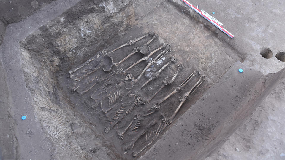 Four headless skeletons were placed next to each other, with their limbs laid out straight. The second cervical vertebra on these individuals had sharp force cut marks.