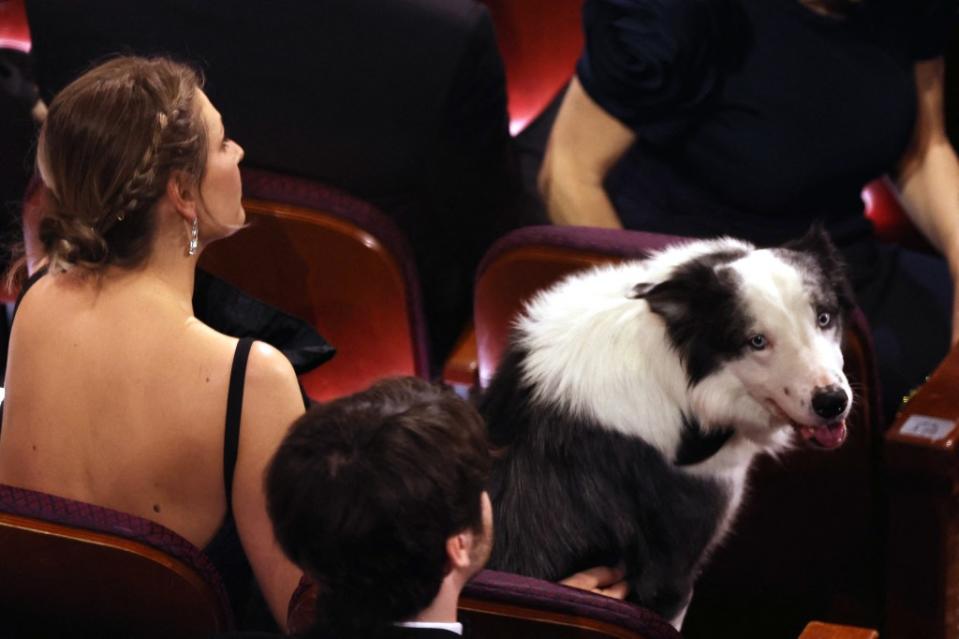 Messi gave a doggy smile to the camera. REUTERS