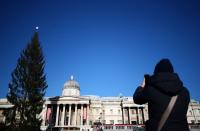 A view of the Trafalgar Square Christmas tree in London