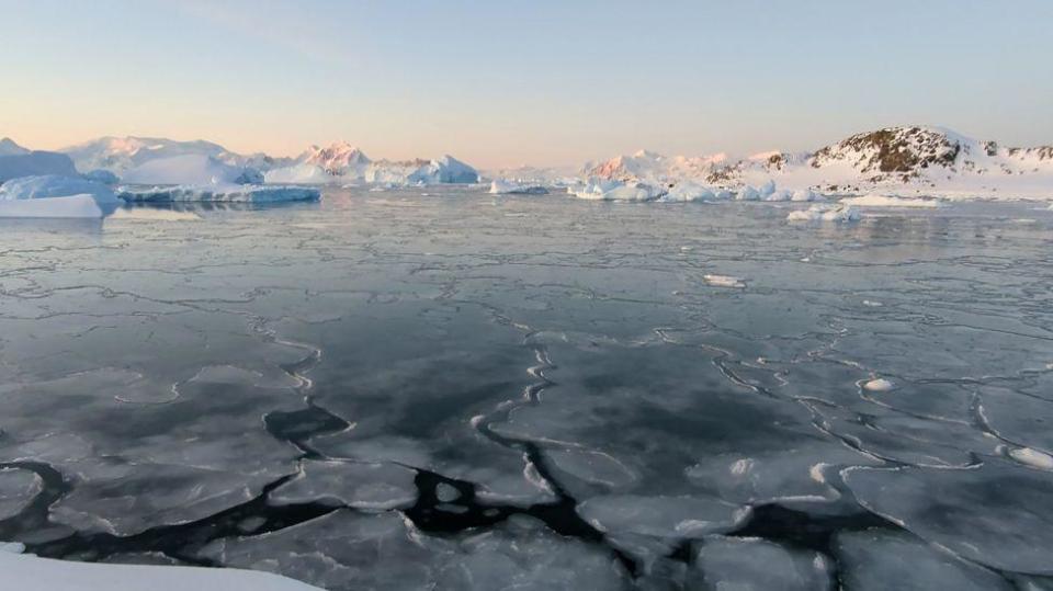 Hielo marino muy fino en primer plano: este es un tipo de hielo marino llamado 