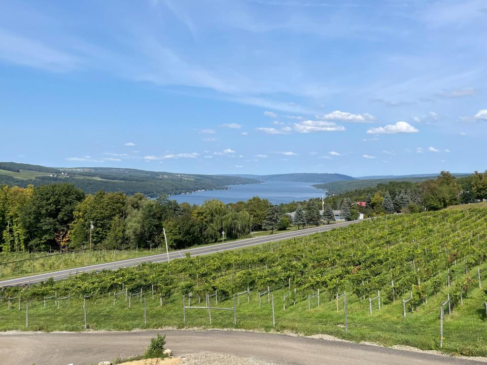 The new tasting room at Living Roots Wine & Co. offers a spectacular view of Shale Creek Vineyard and Keuka Lake.