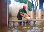 PAWS volunteer Joe Claret puts a leash on Bebekara, a dog rescued in Cainta, Rizal