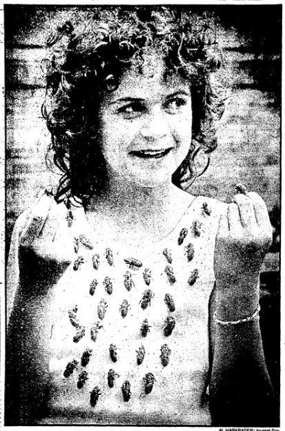 A Journal Star photo from 1990 shows Megan Gibbs of Metamora covered in molted shells of periodical cicadas during the 1990 emergence of Brood XIII in central Illinois.