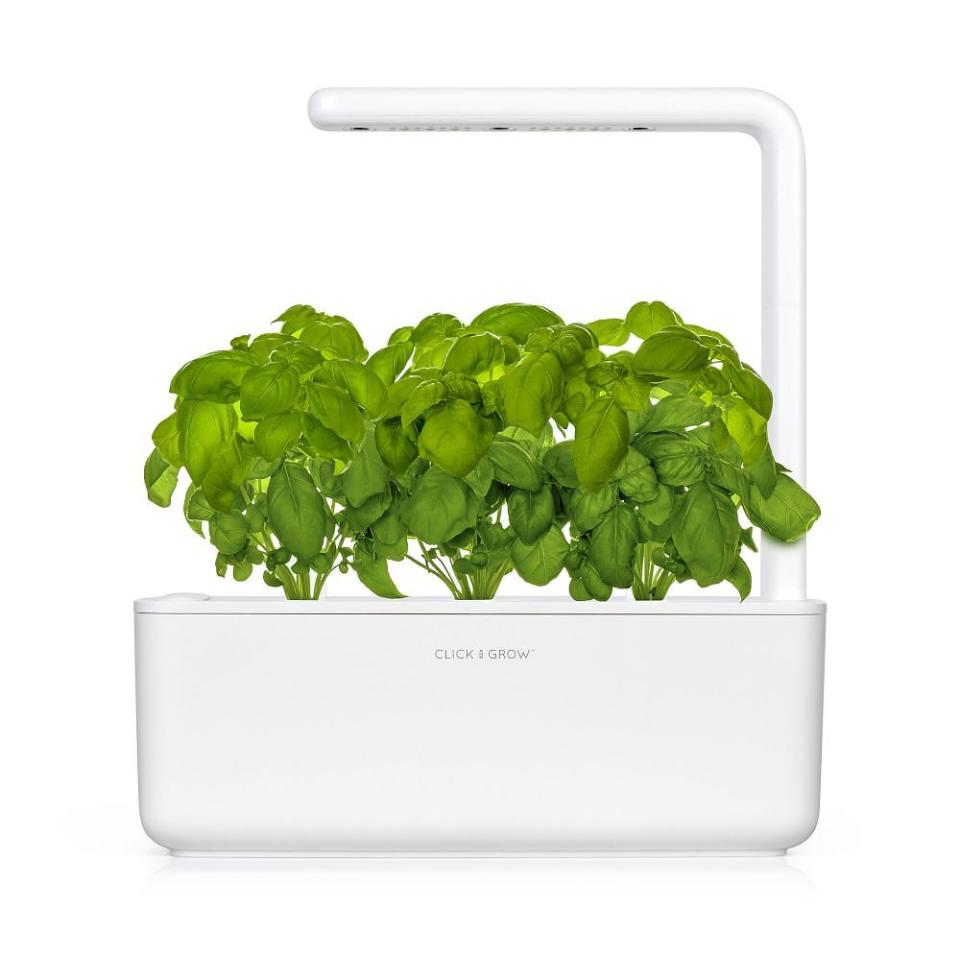 15) The Smart Garden LED Grow Set