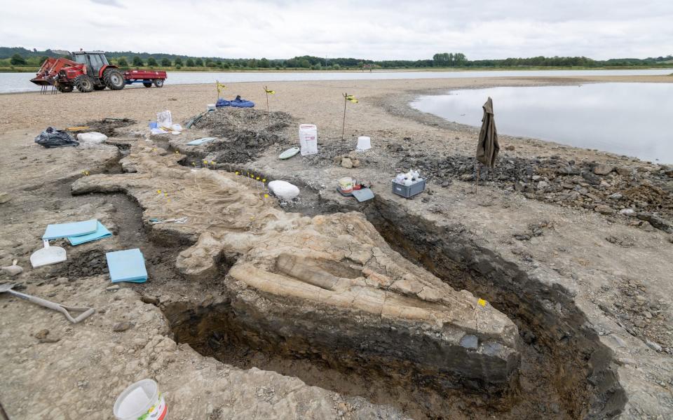 The discovery of the ichthyosaur, a prehistoric "sea dragon", has been described as one of the greatest finds in British palaeontological history - Anglian Water/PA Wire